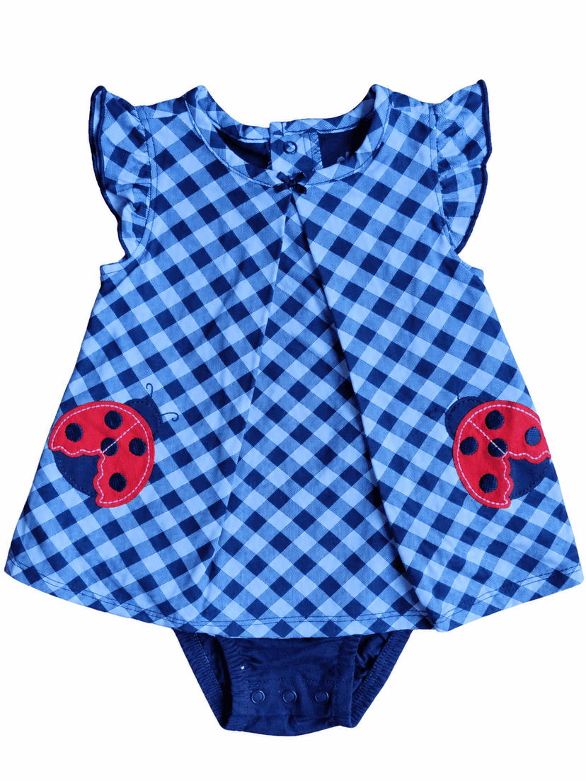Carter’s Blue Gingham Ladybug Dress Bodysuit